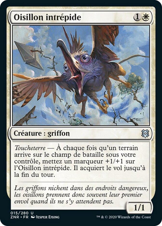 Oisillon intrépide