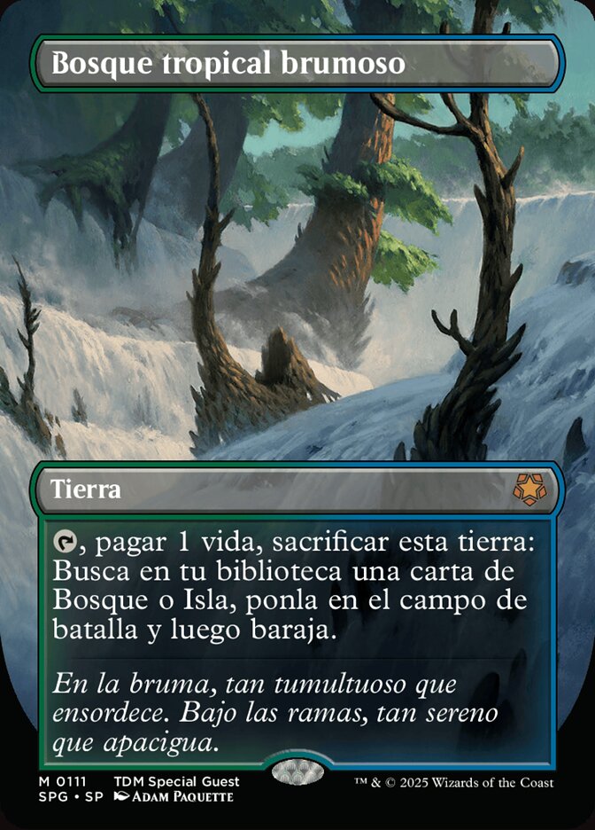 Bosque tropical brumoso