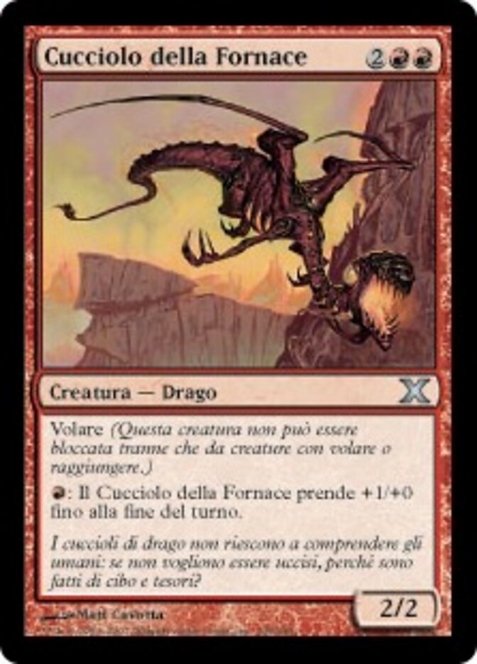 Cucciolo della Fornace