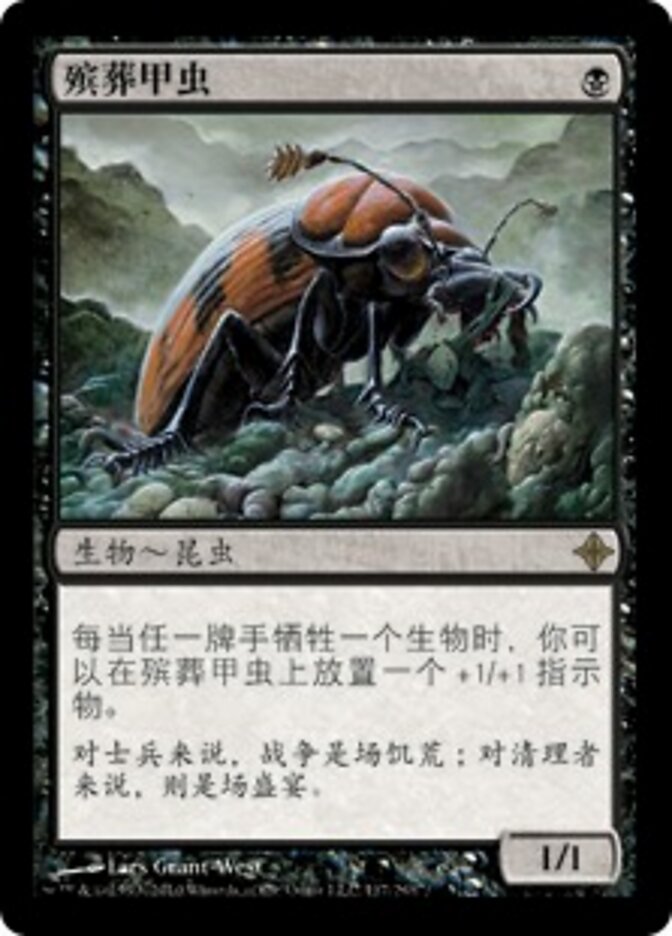 殡葬甲虫