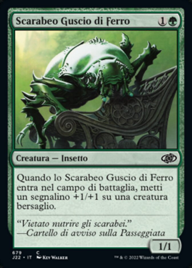 Scarabeo Guscio di Ferro