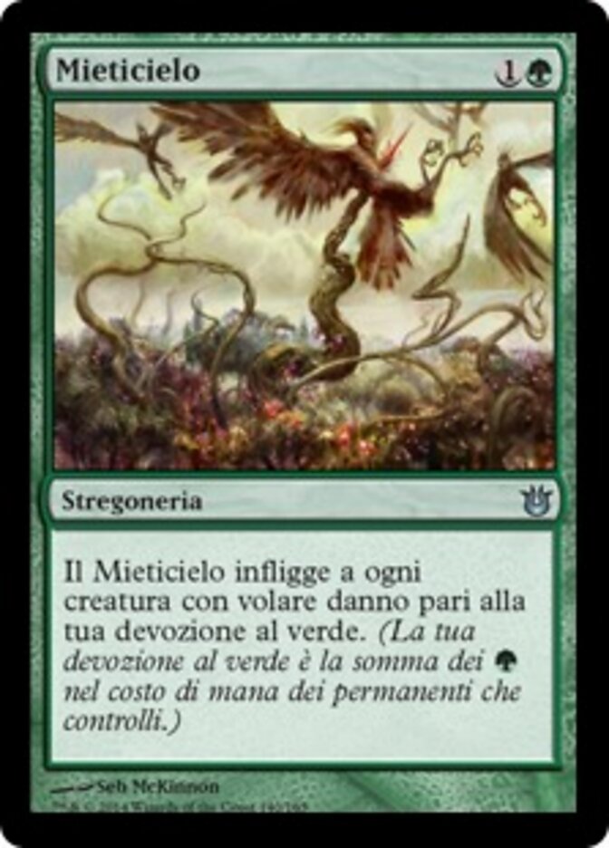 Mieticielo