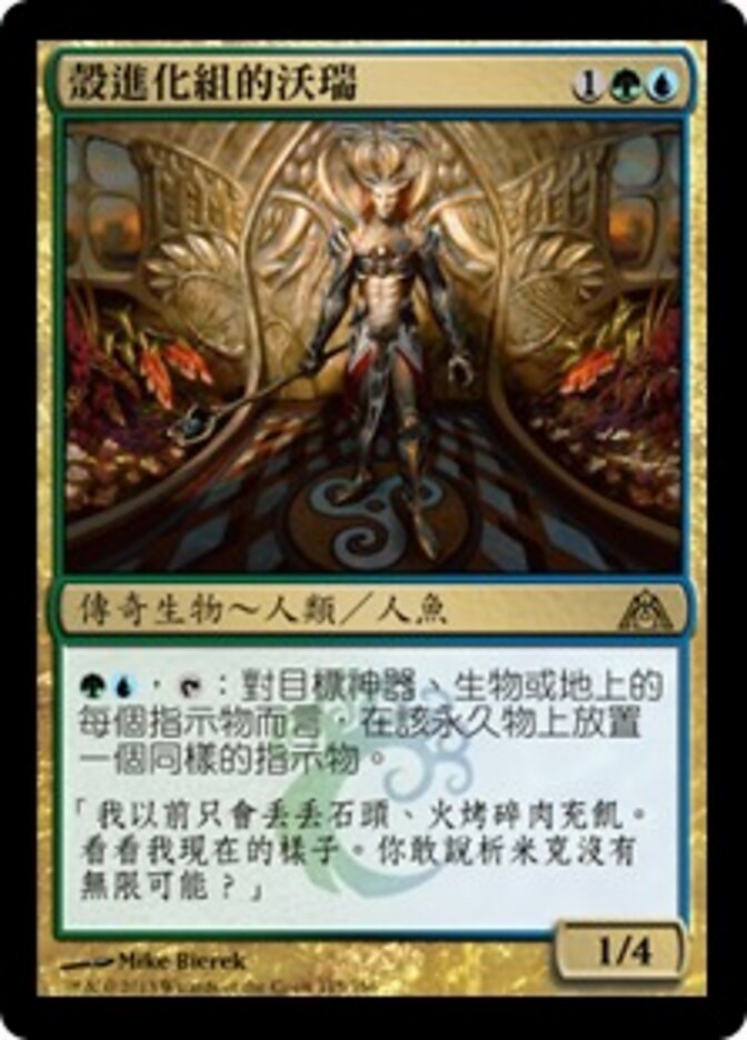 殼進化組的沃瑞