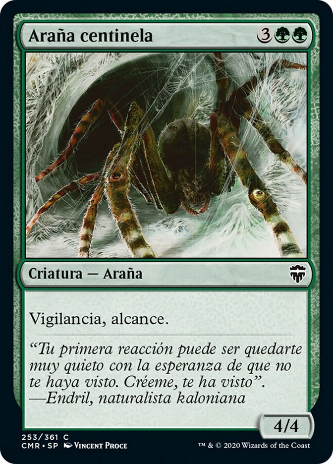 Araña centinela