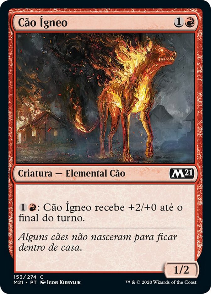Cão Ígneo