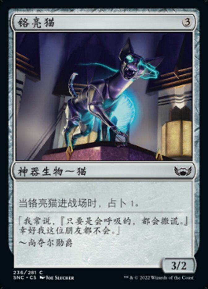 铬亮猫