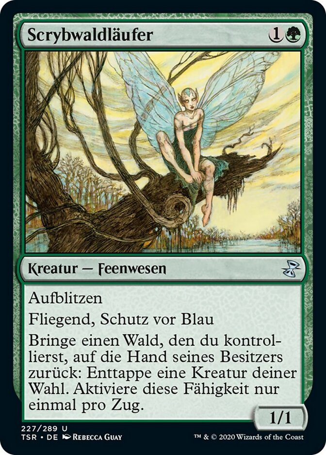 Scrybwaldläufer
