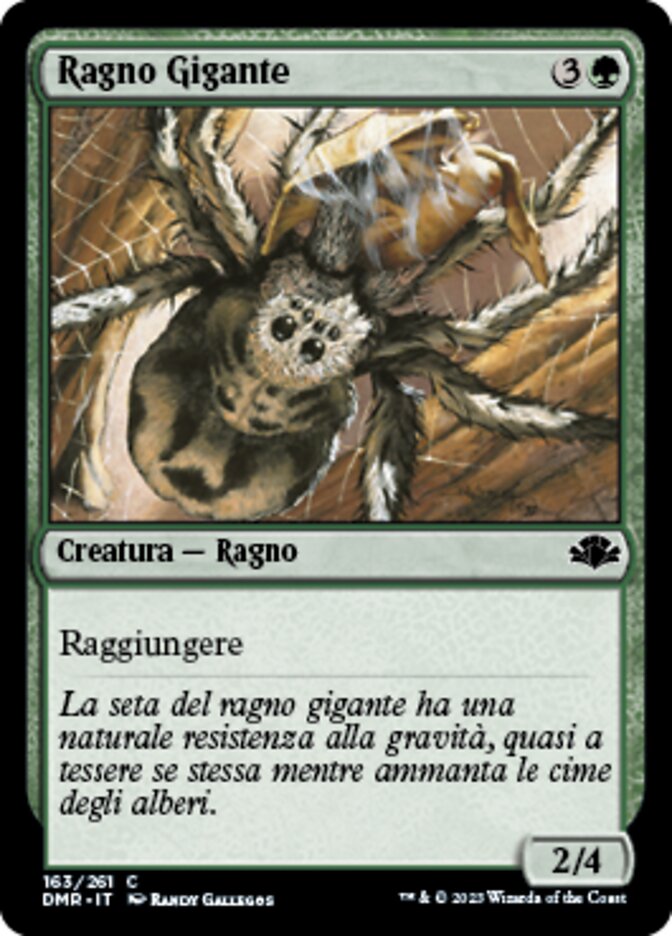 Ragno Gigante