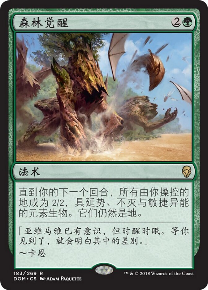 森林觉醒