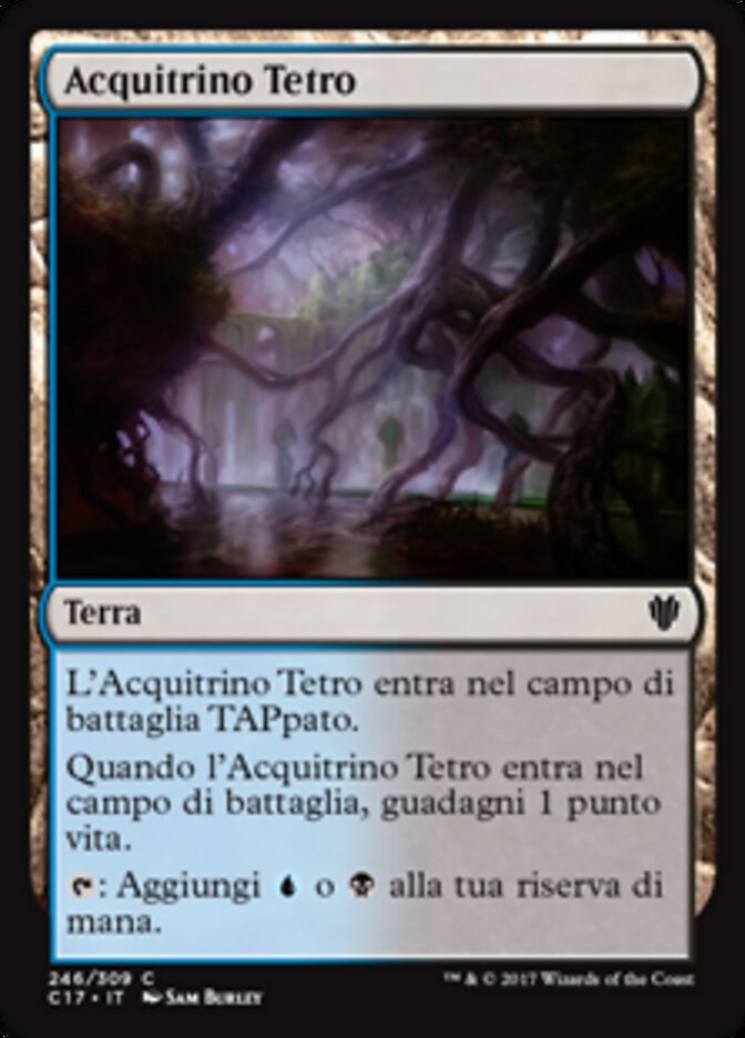 Acquitrino Tetro