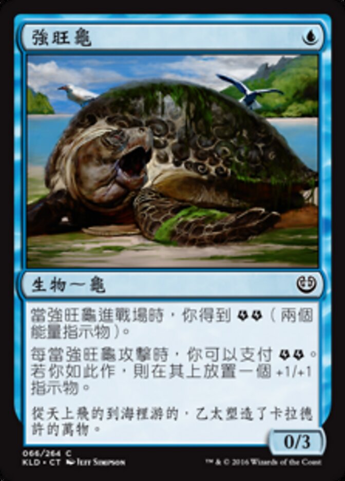 強旺龜