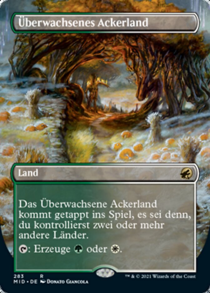 Überwachsenes Ackerland
