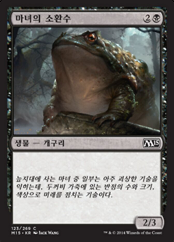 마녀의 소환수