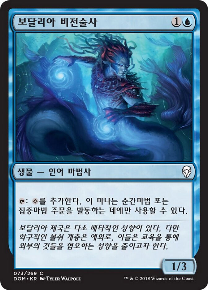 보달리아 비전술사