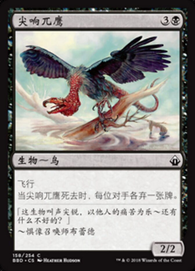 尖响兀鹰