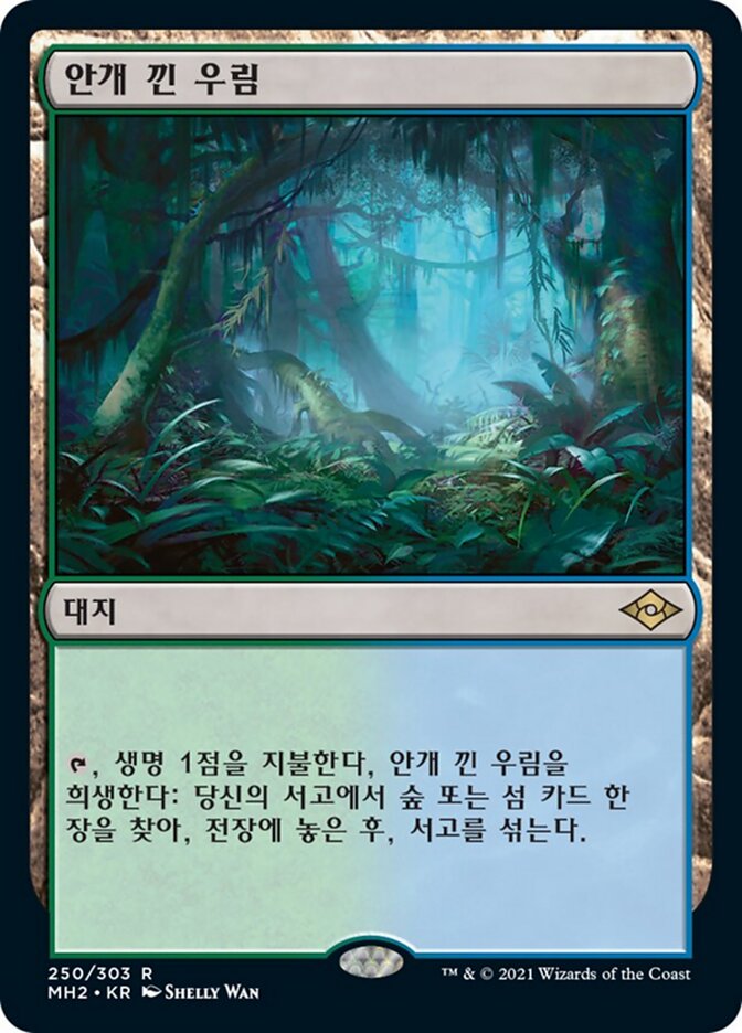 안개 낀 우림