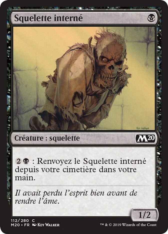 Squelette interné