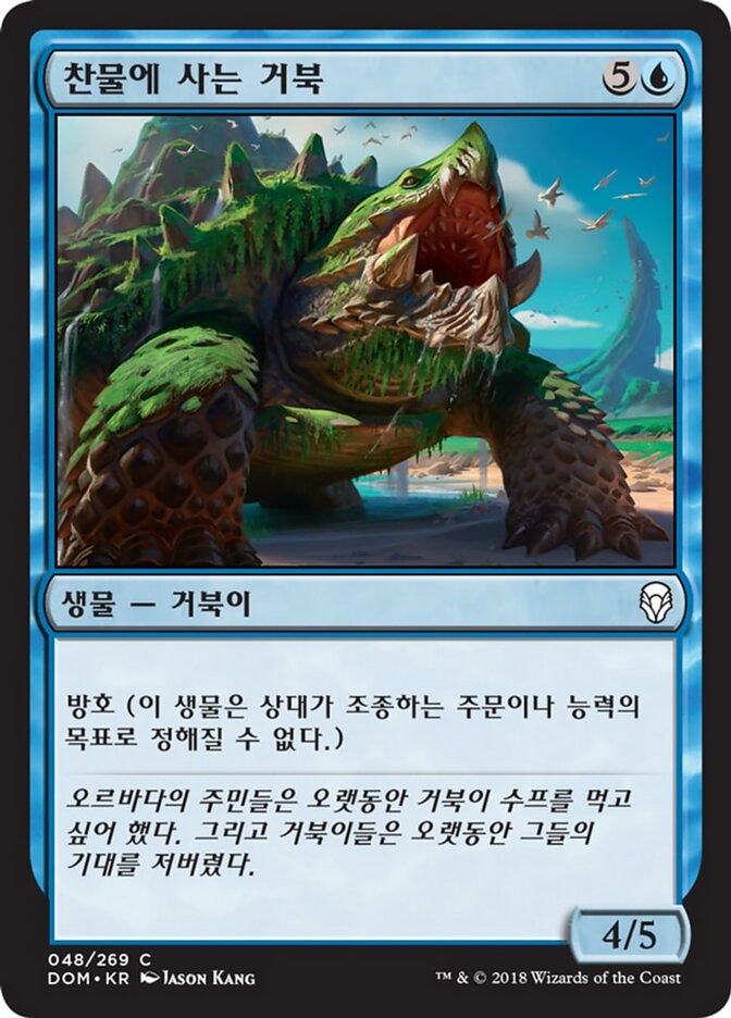 찬물에 사는 거북