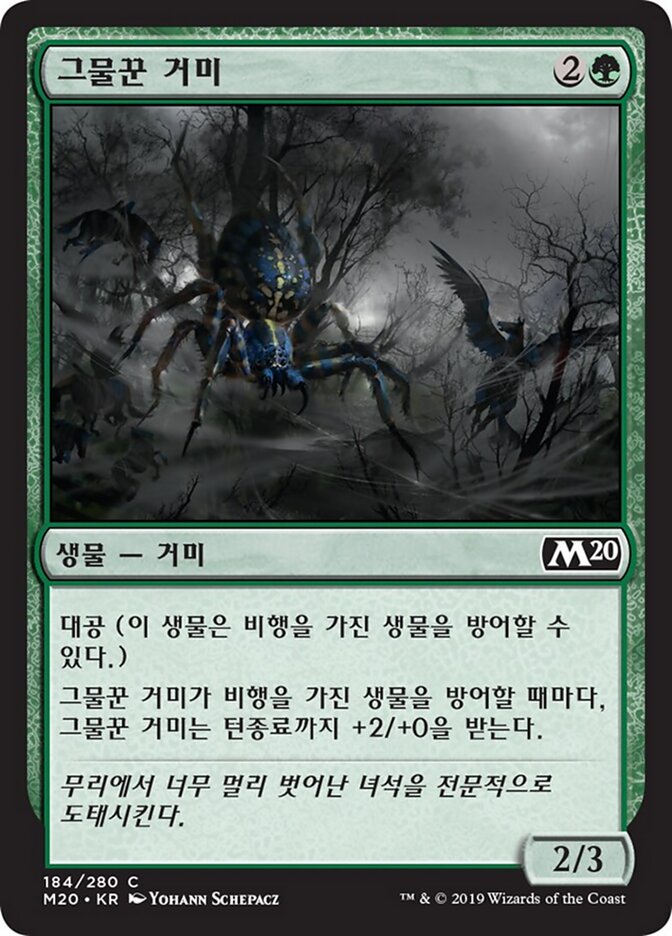 그물꾼 거미