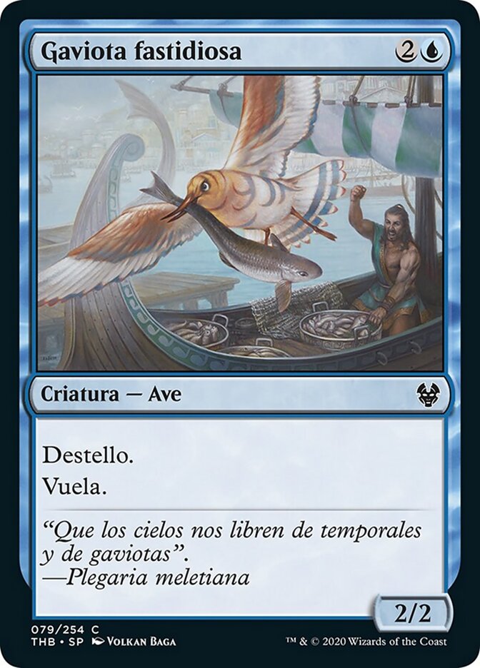 Gaviota fastidiosa