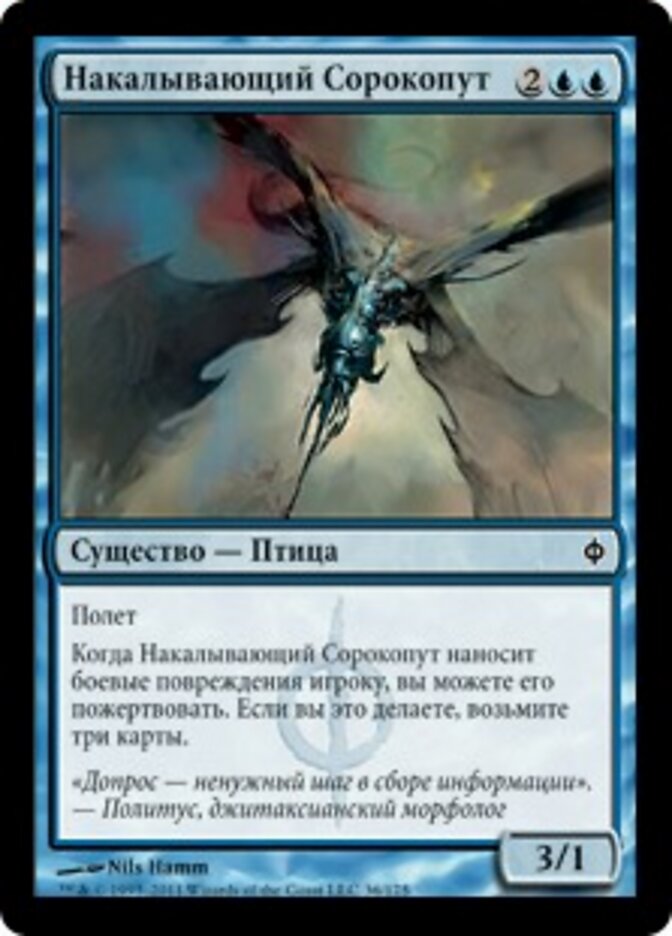 Накалывающий Сорокопут