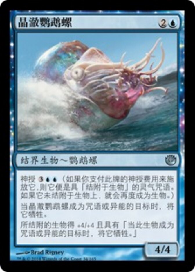 晶澈鹦鹉螺