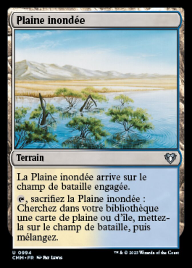 Plaine inondée