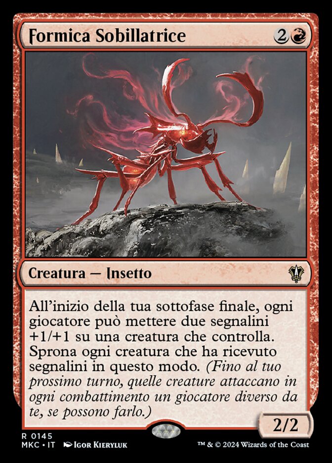 Formica Sobillatrice
