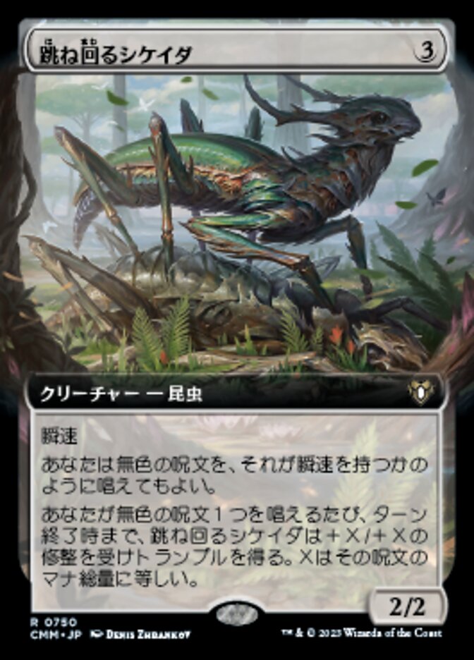跳ね回るシケイダ
