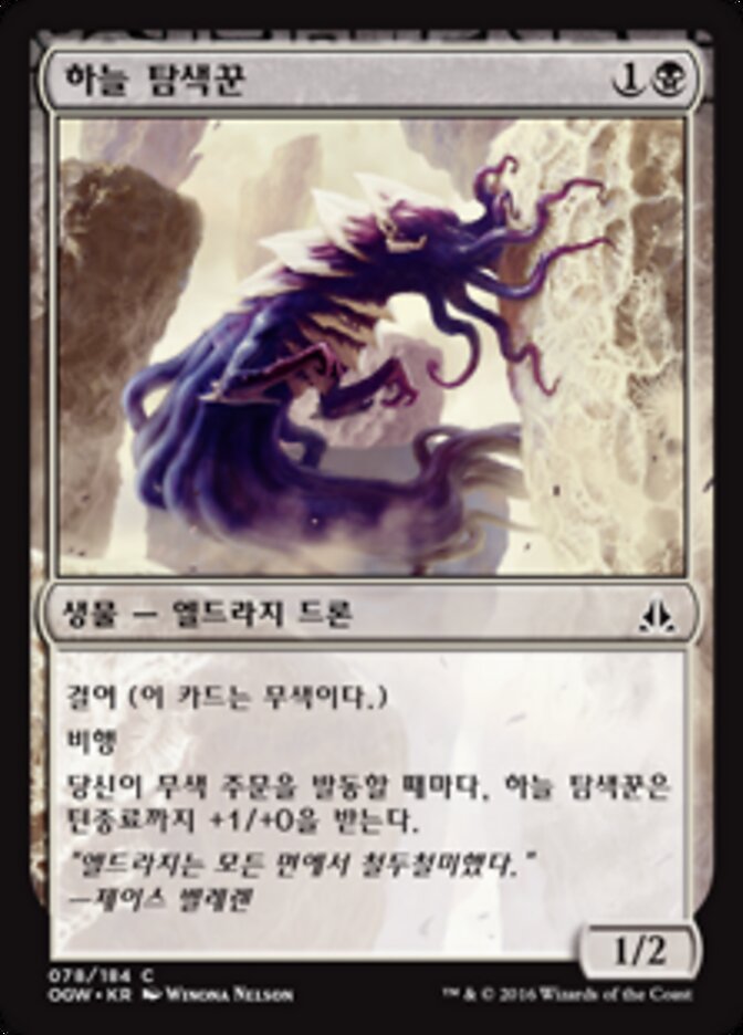 하늘 탐색꾼