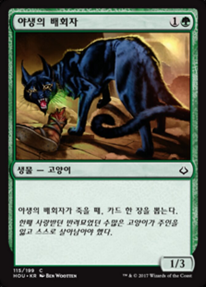 야생의 배회자