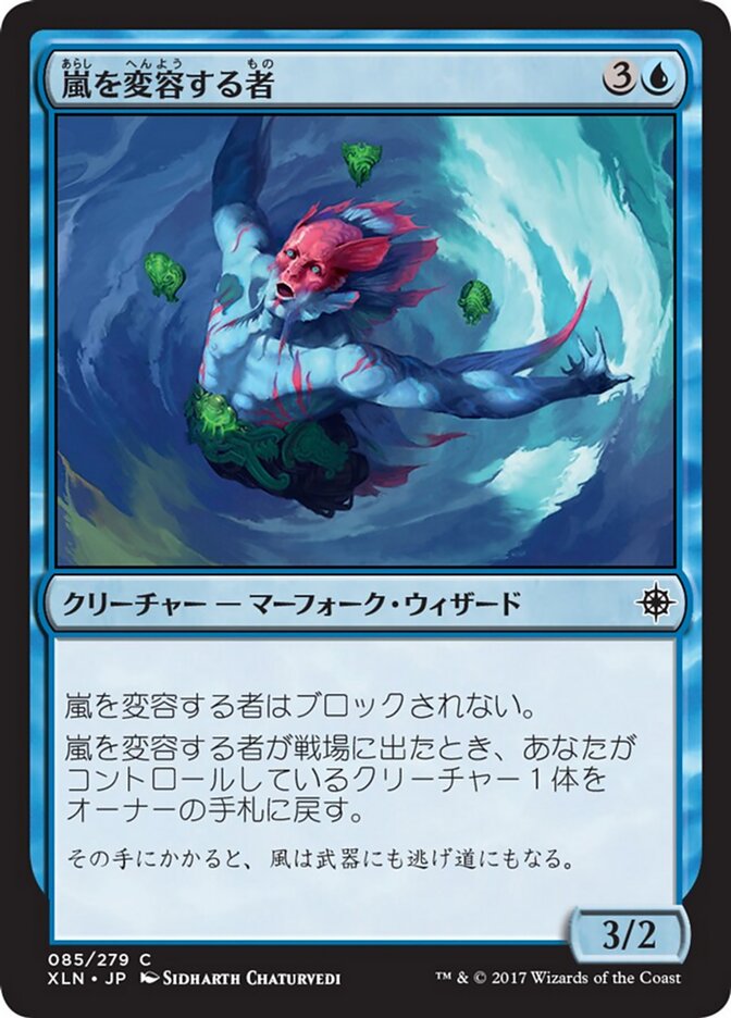 嵐を変容する者