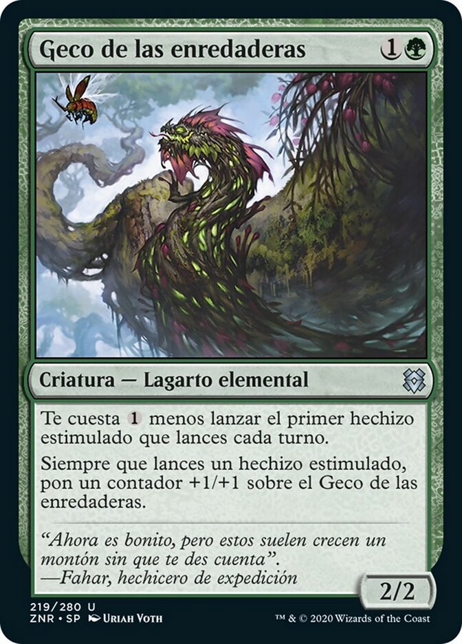 Geco de las enredaderas