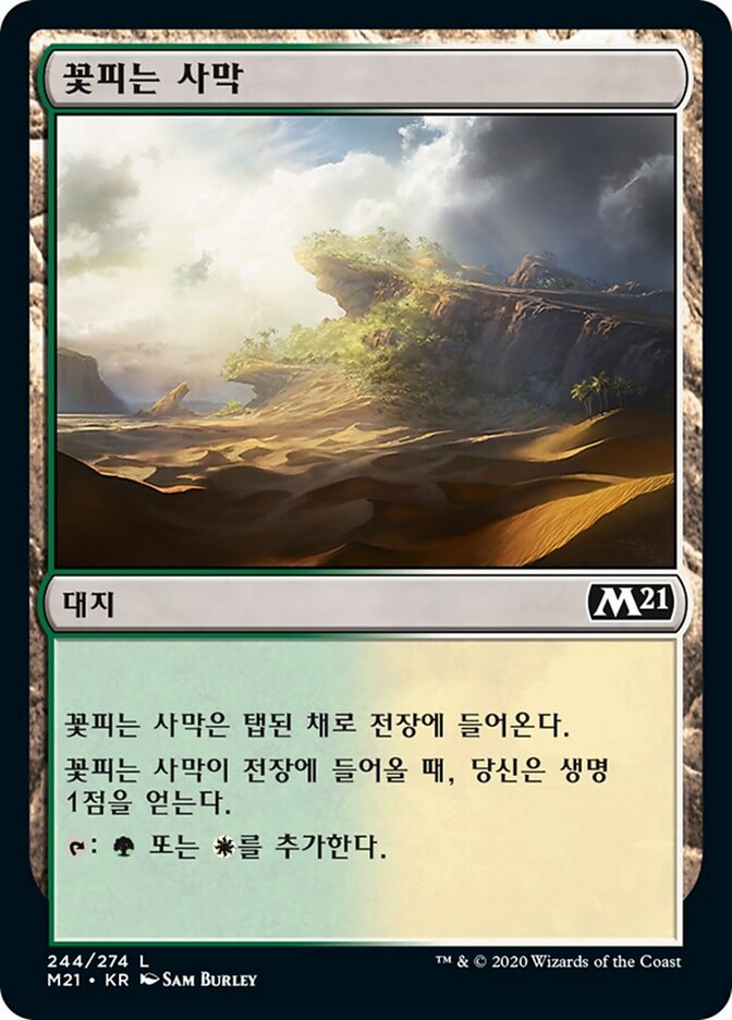 꽃피는 사막