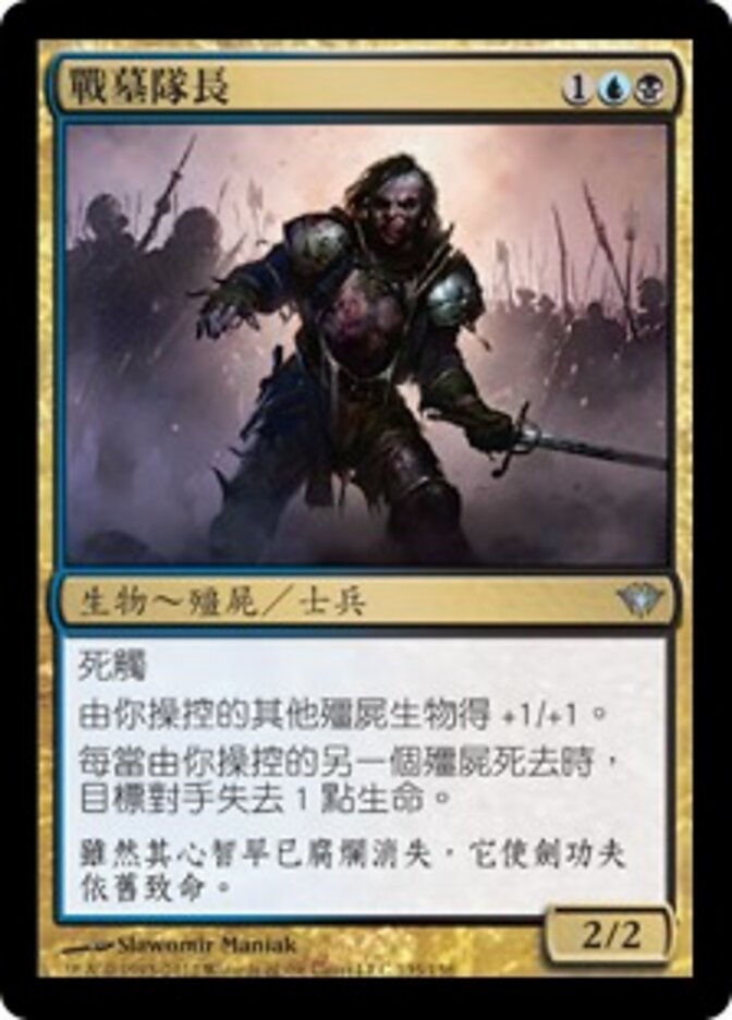 戰墓隊長