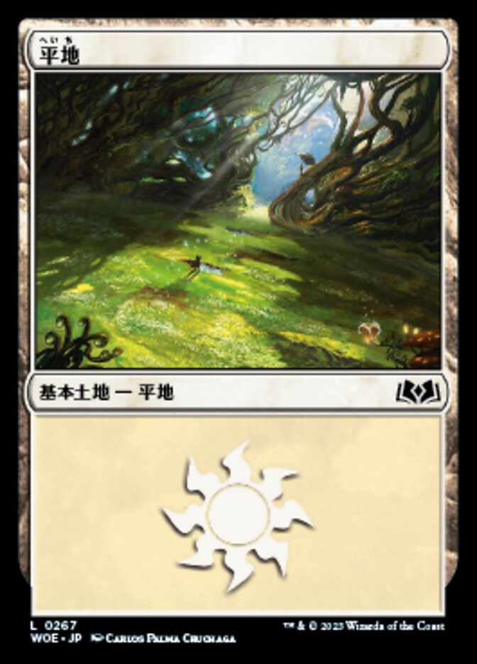 平地