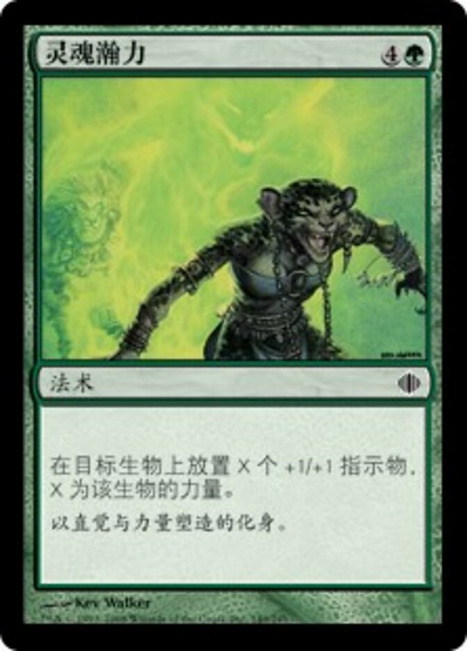 灵魂瀚力