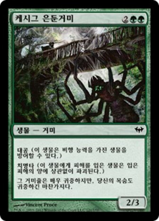 케시그 은둔거미