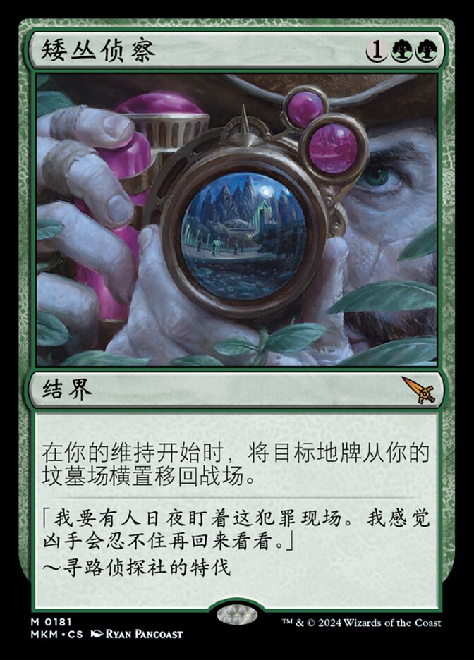 矮丛侦察