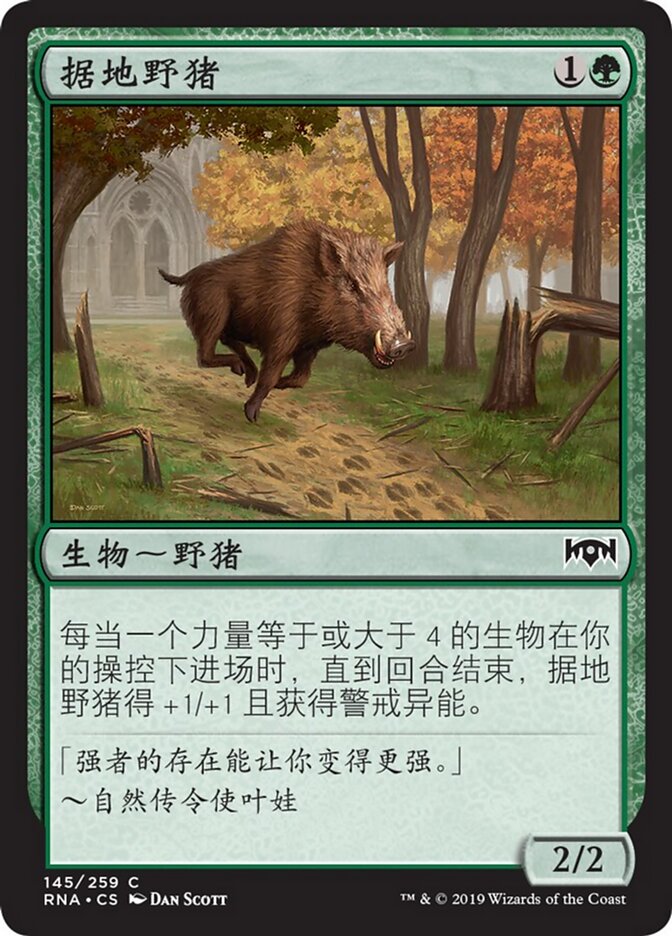 据地野猪