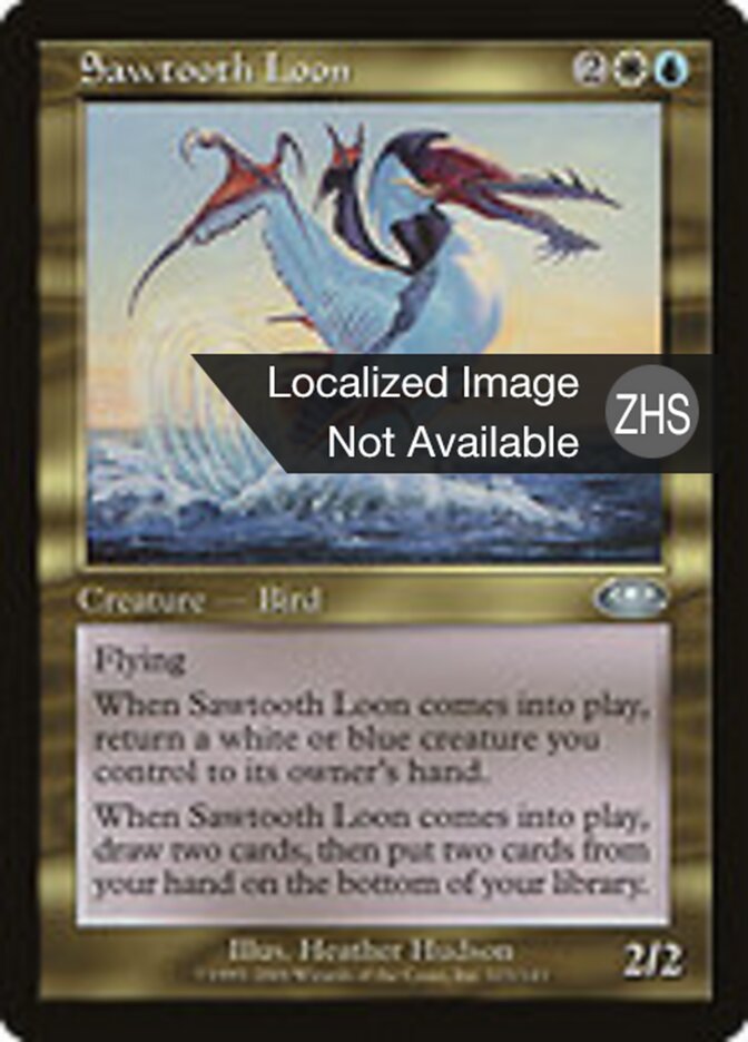 Sawtooth Loon