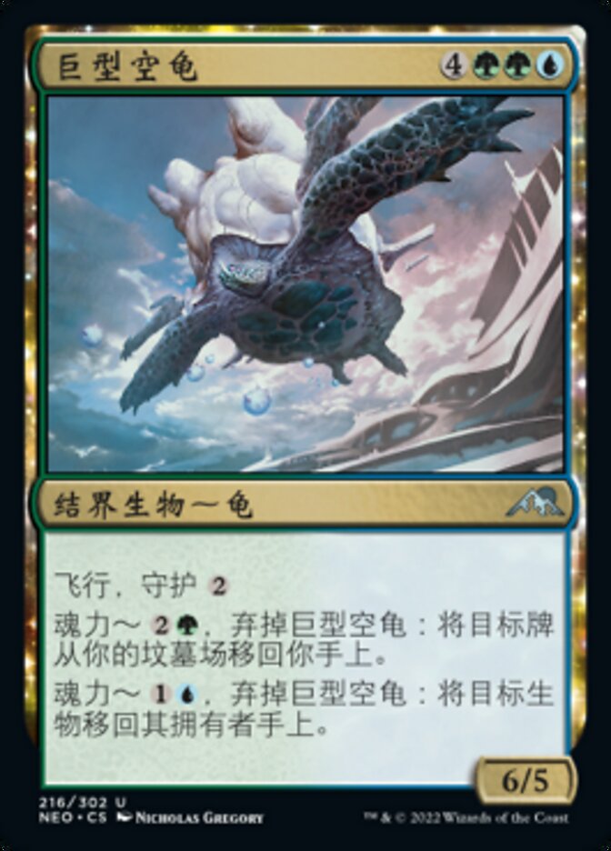 巨型空龟