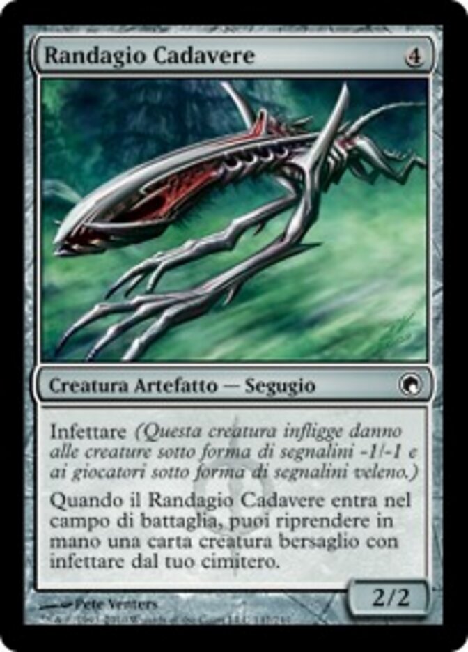 Randagio Cadavere