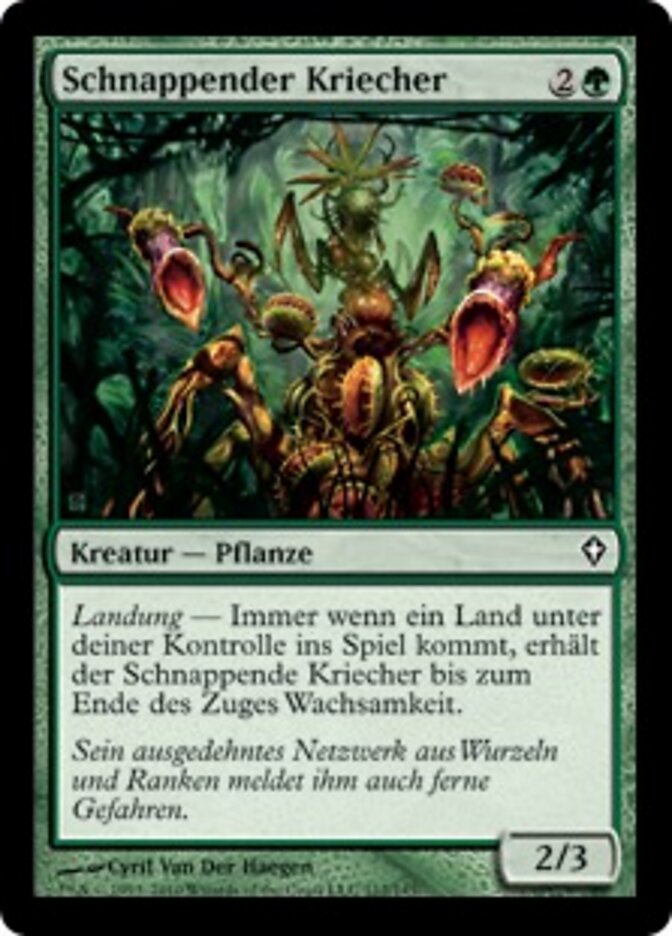 Schnappender Kriecher