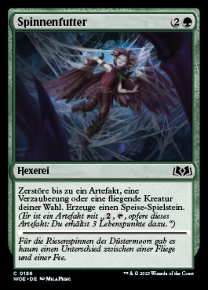 Spinnenfutter