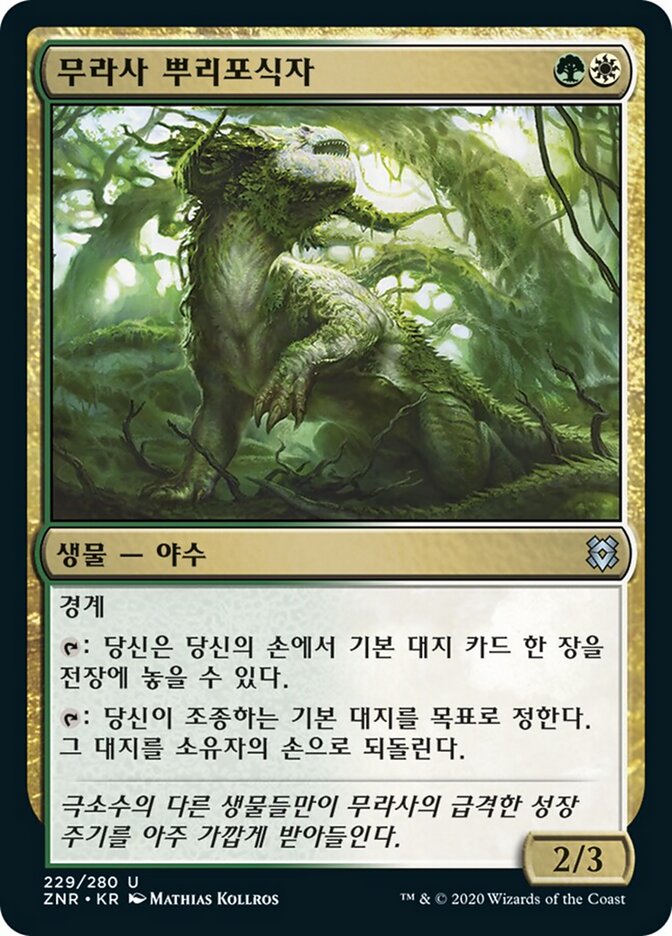 무라사 뿌리포식자