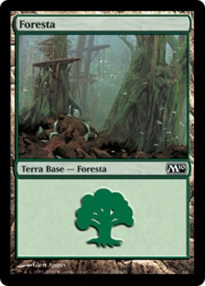 Foresta