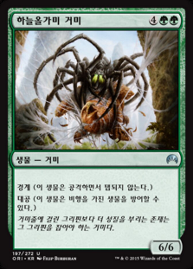 하늘올가미 거미