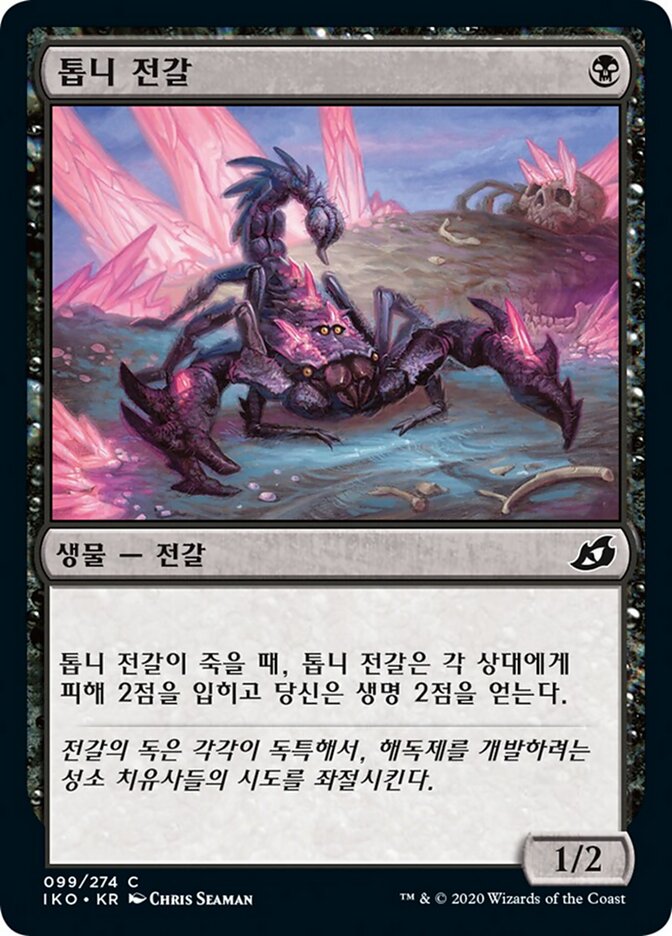 톱니 전갈