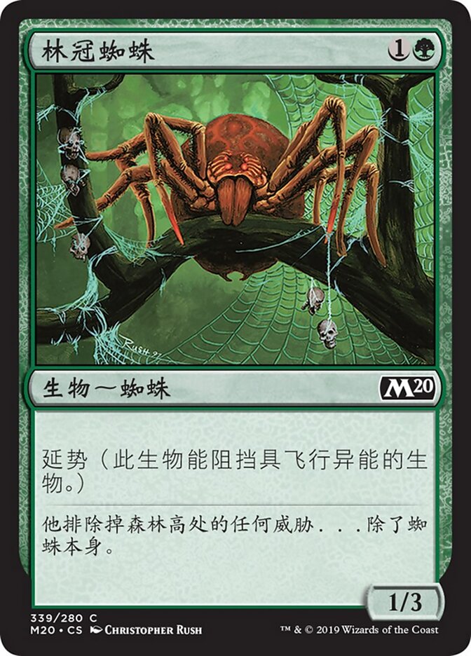 林冠蜘蛛